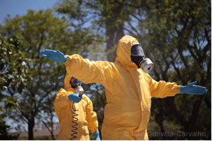 global health security